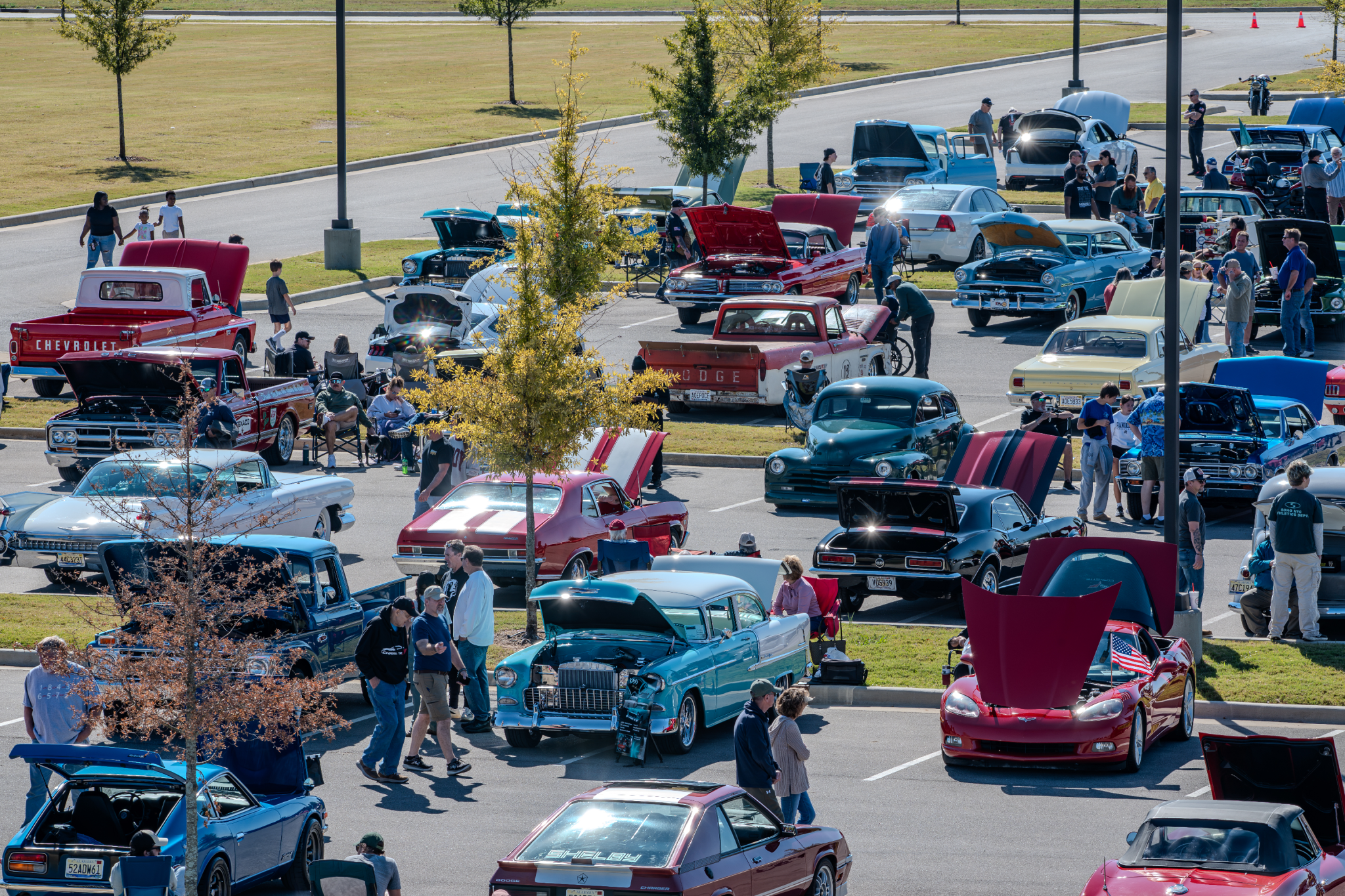 Car show picture
