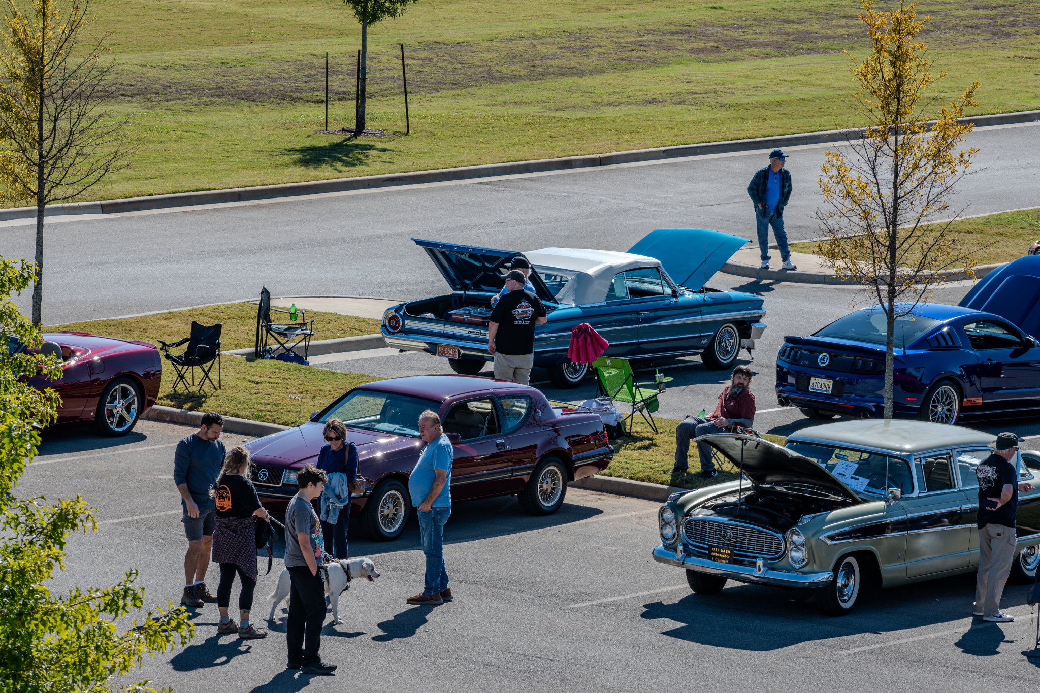 Car show picture