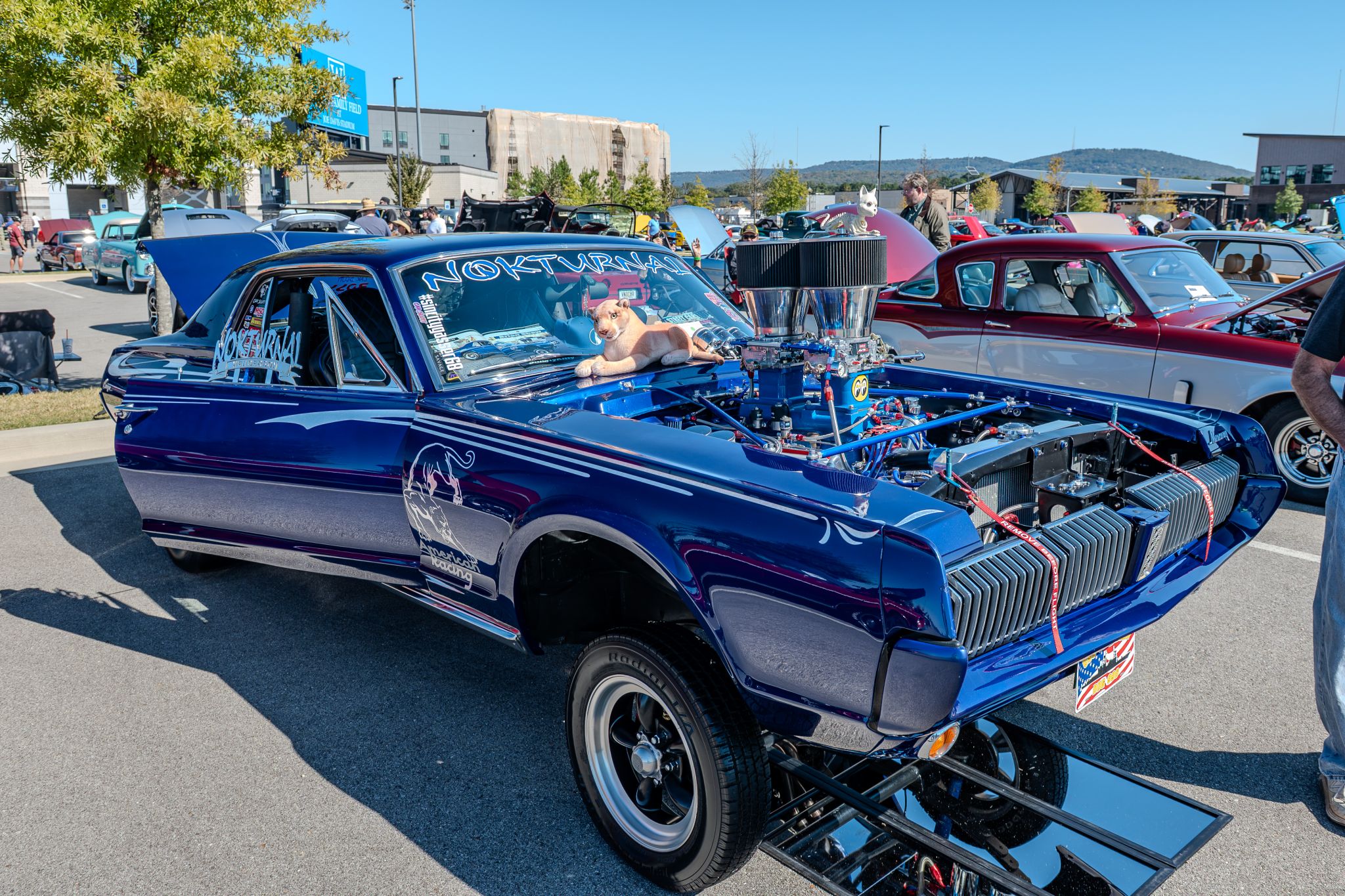 Car show picture