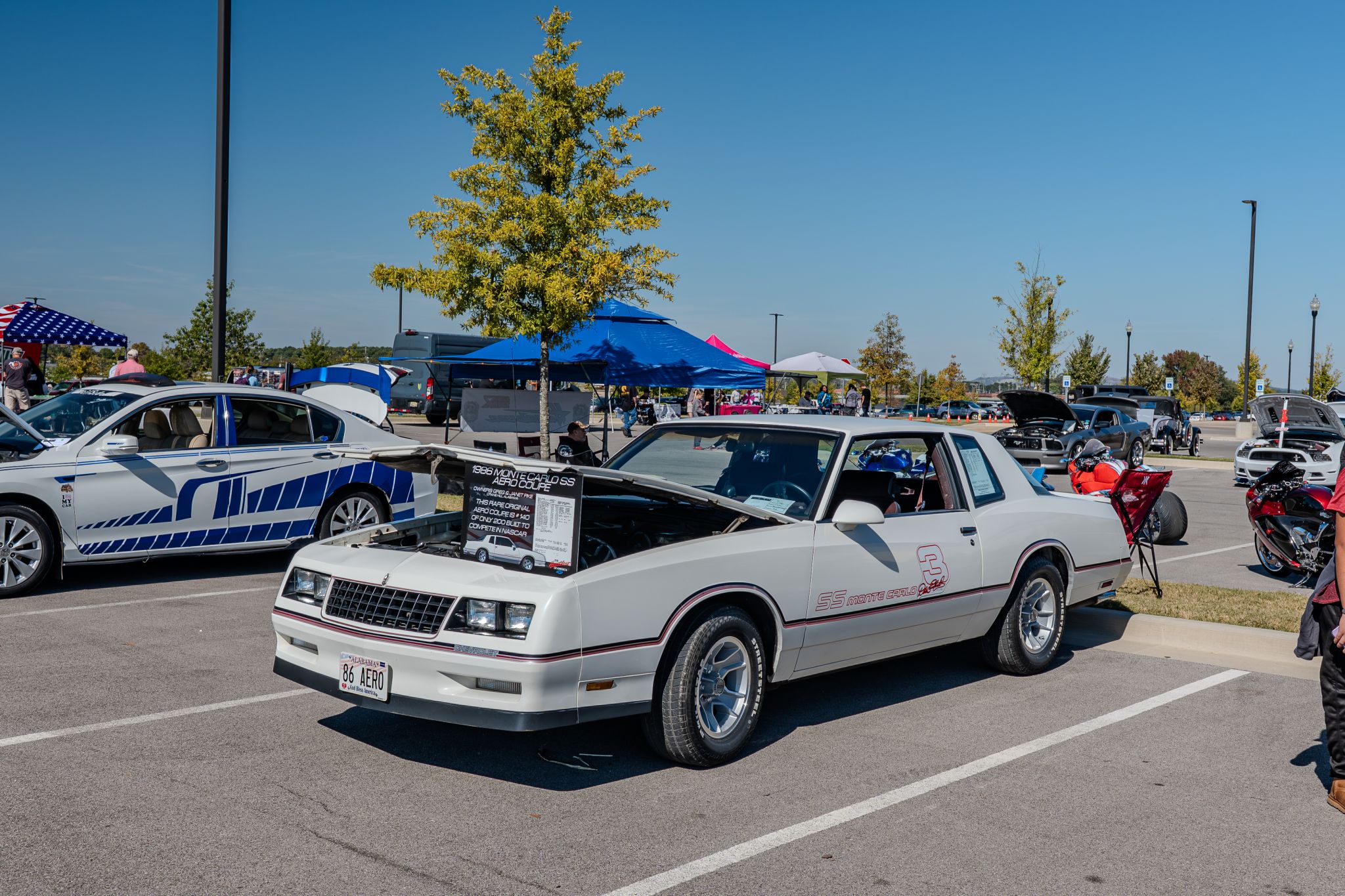 Car show picture